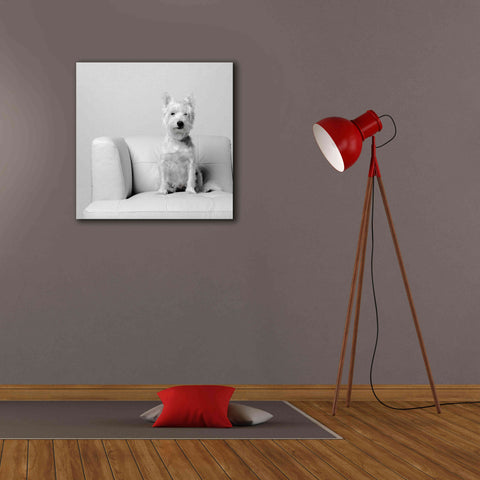 Image of 'White on White' by Edward M. Fielding, Giclee Canvas Wall Art,26x26