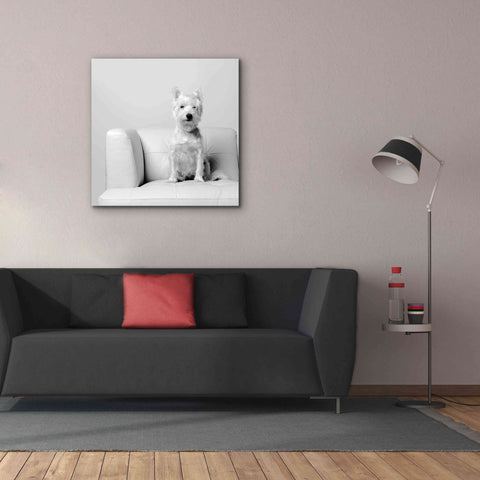 Image of 'White on White' by Edward M. Fielding, Giclee Canvas Wall Art,37x37