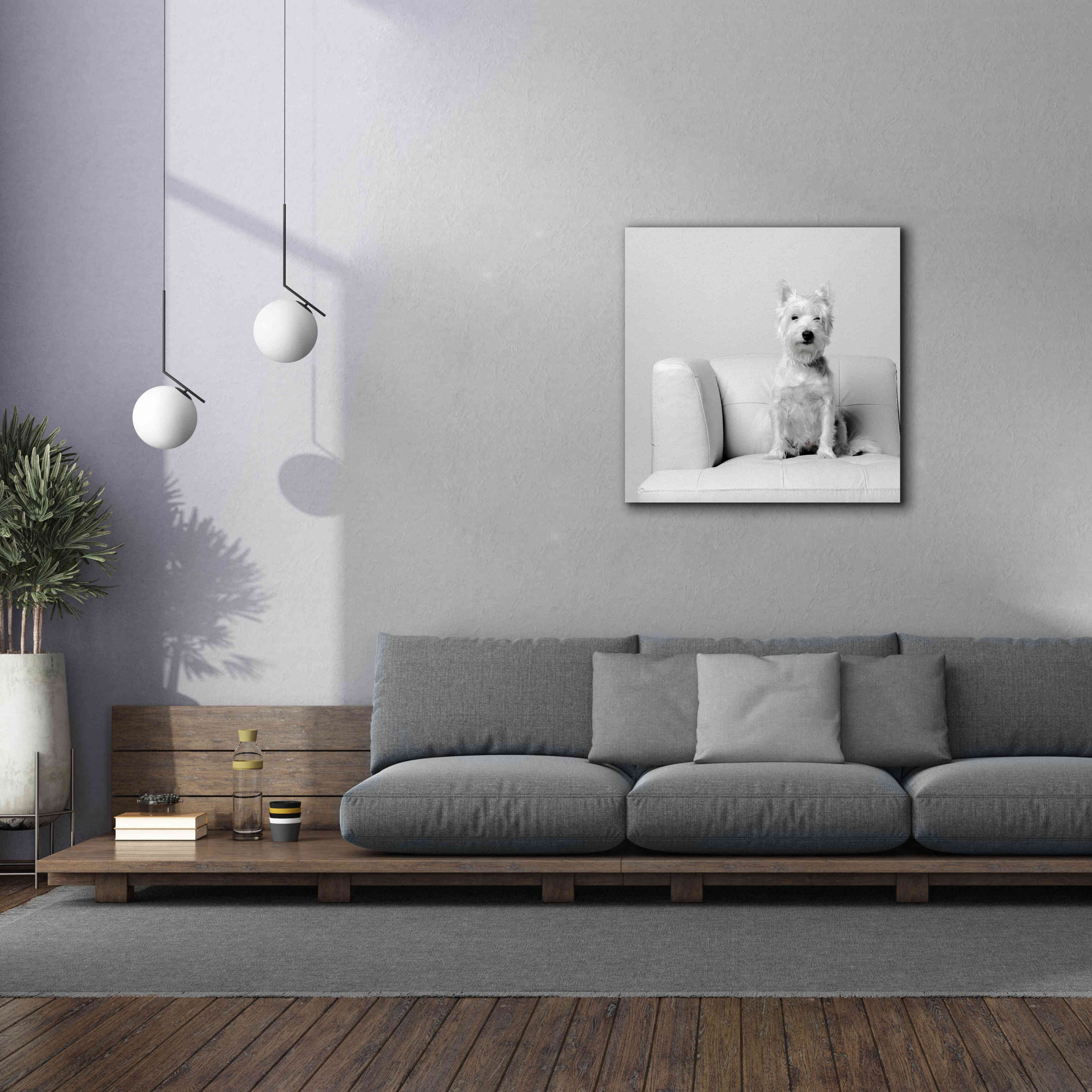 'White on White' by Edward M. Fielding, Giclee Canvas Wall Art,37x37
