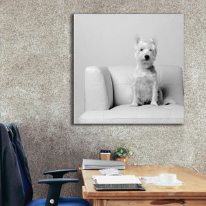 'White on White' by Edward M. Fielding, Giclee Canvas Wall Art,37x37