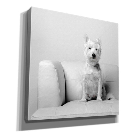 Image of 'White on White' by Edward M. Fielding, Giclee Canvas Wall Art