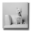 'White on White' by Edward M. Fielding, Giclee Canvas Wall Art