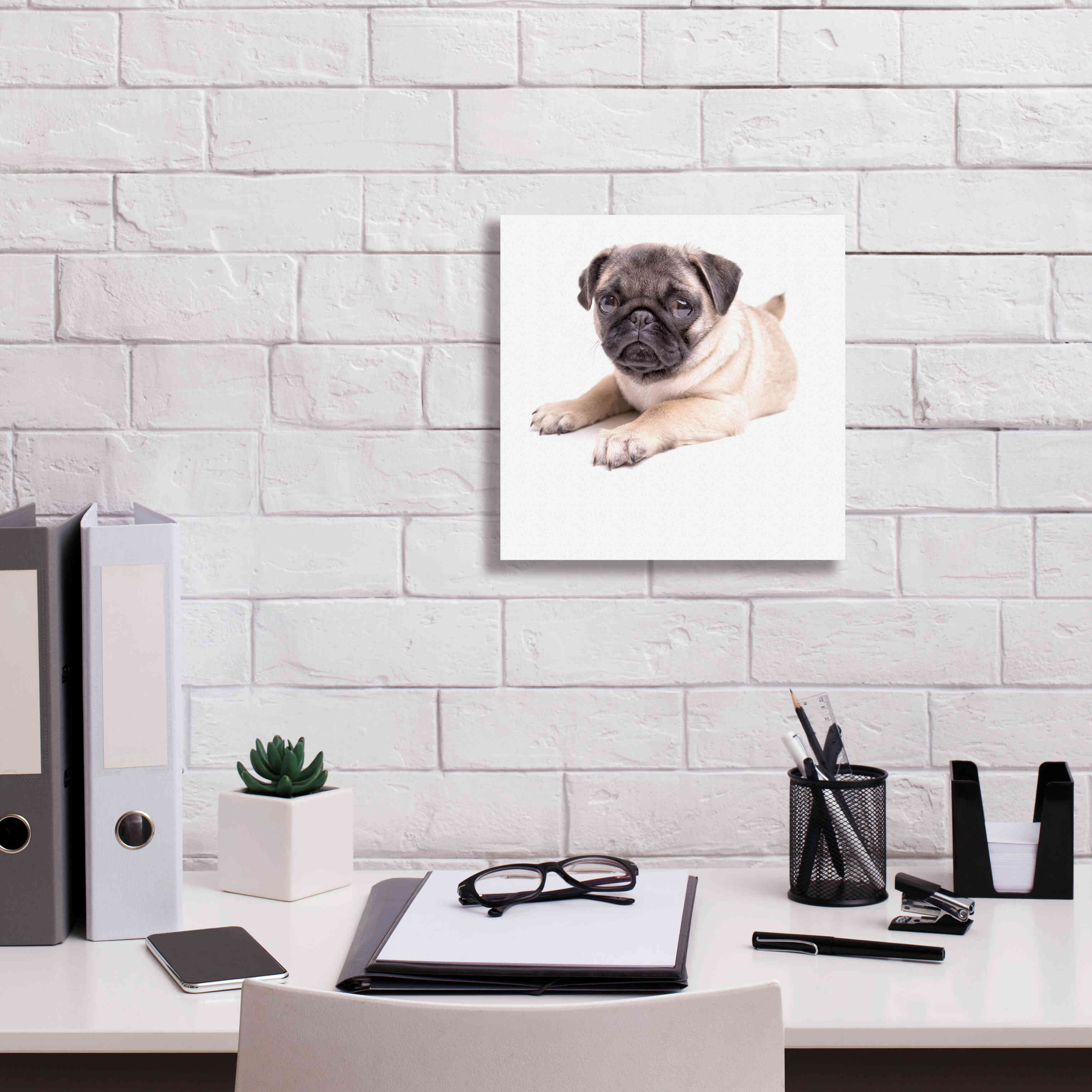 'Cute Pug Puppy' by Edward M. Fielding, Giclee Canvas Wall Art,12x12