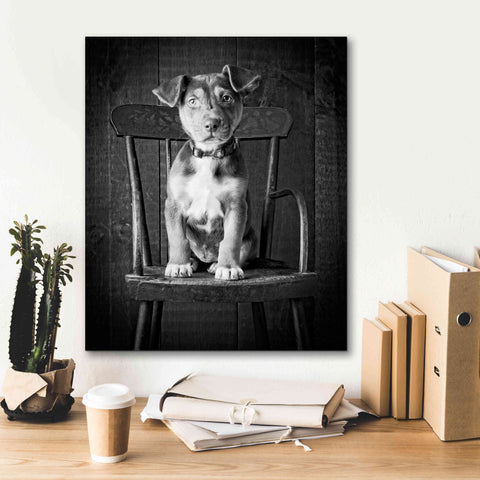 Image of 'Mutt Black & White' by Edward M. Fielding, Giclee Canvas Wall Art,20x24