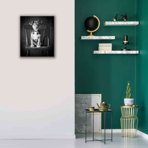 Image of 'Mutt Black & White' by Edward M. Fielding, Giclee Canvas Wall Art,20x24