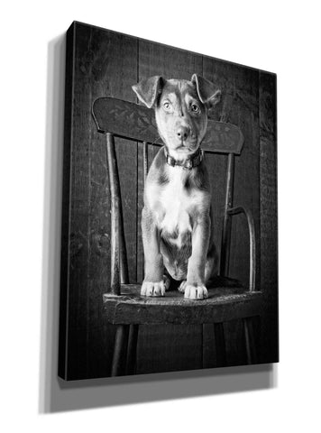 Image of 'Mutt Black & White' by Edward M. Fielding, Giclee Canvas Wall Art
