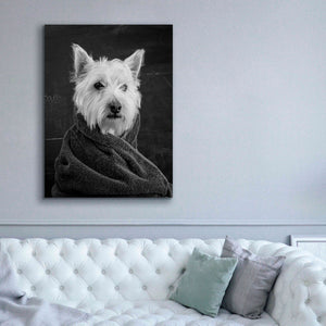 'Portrait of a Westy Dog' by Edward M. Fielding, Giclee Canvas Wall Art,40x54