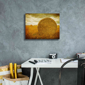 'Prince Edward Island' by Edward M. Fielding, Giclee Canvas Wall Art,16x12