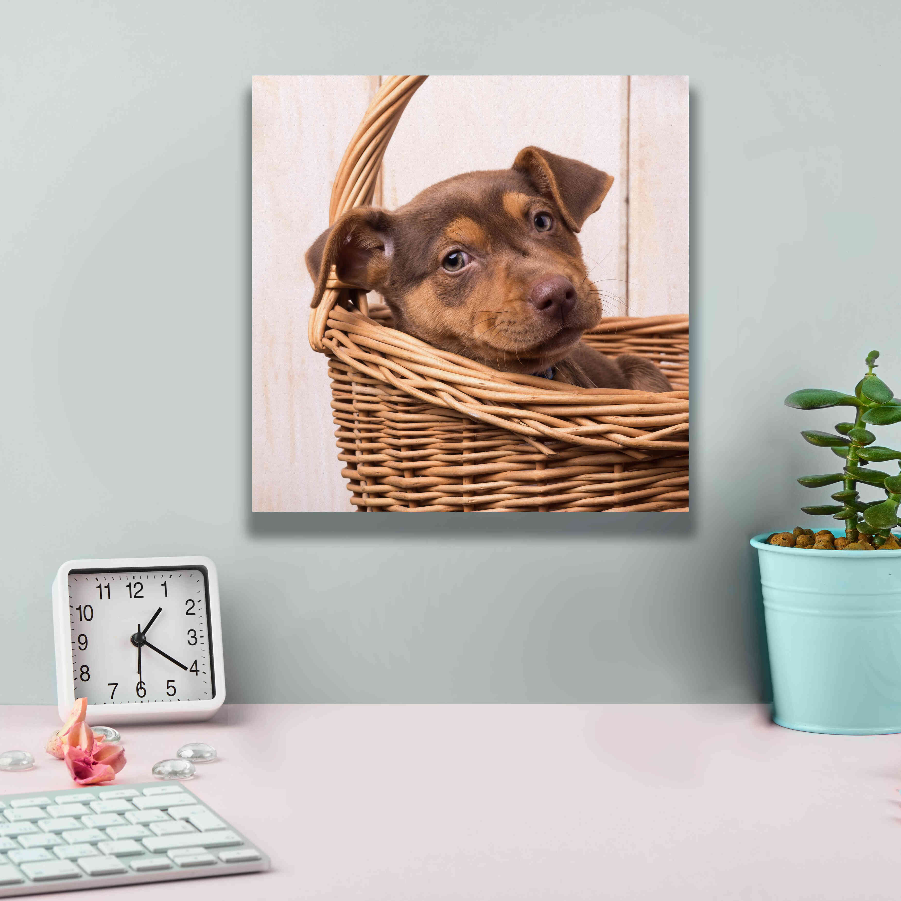 'Puppy in a Basket' by Edward M. Fielding, Giclee Canvas Wall Art,12x12