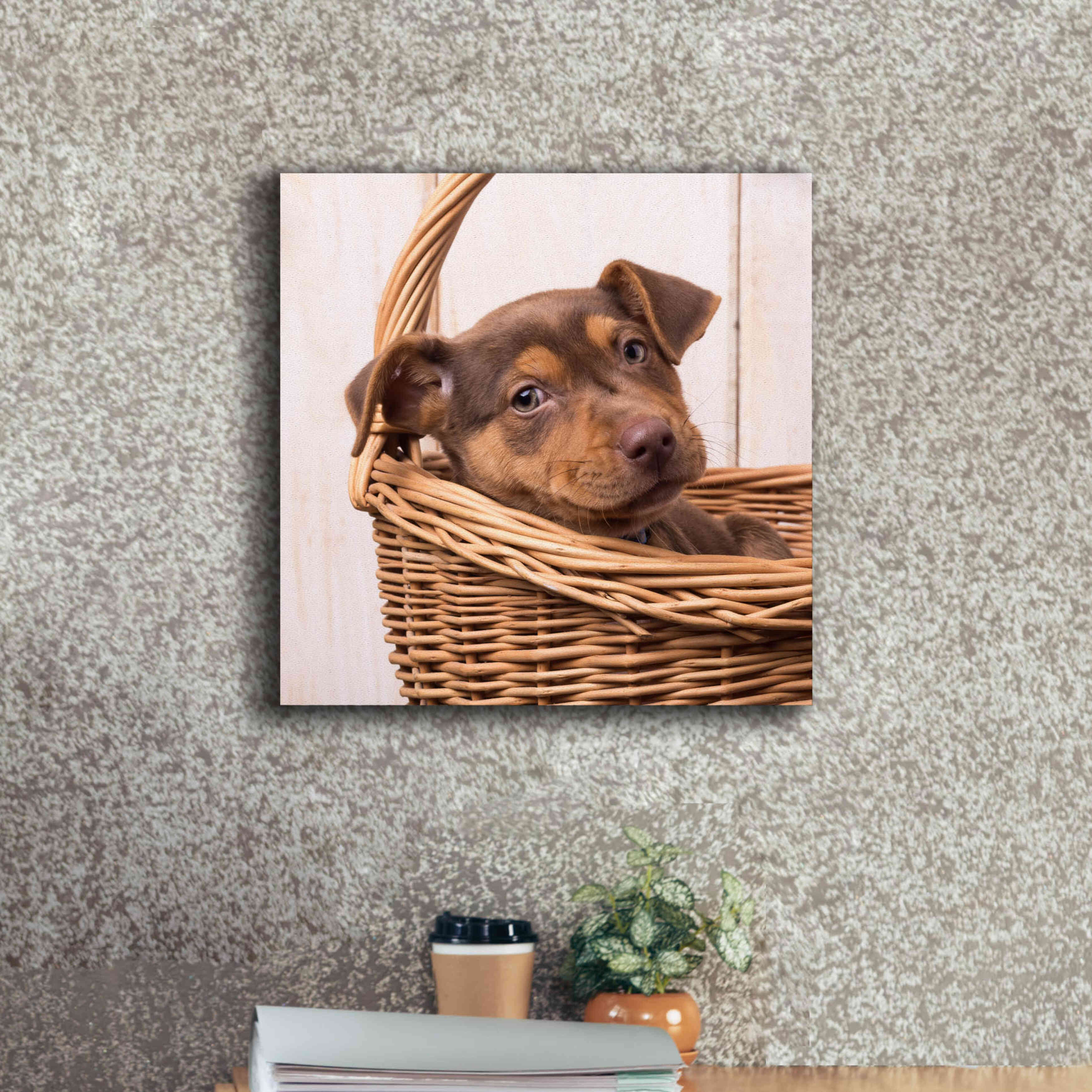 'Puppy in a Basket' by Edward M. Fielding, Giclee Canvas Wall Art,18x18