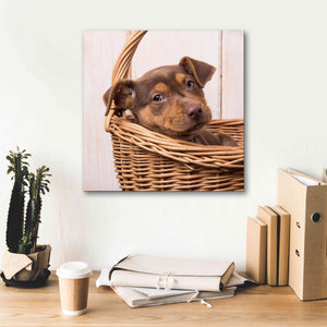 'Puppy in a Basket' by Edward M. Fielding, Giclee Canvas Wall Art,18x18