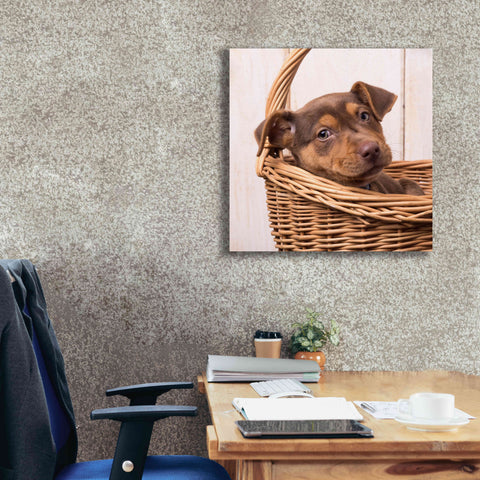 Image of 'Puppy in a Basket' by Edward M. Fielding, Giclee Canvas Wall Art,26x26