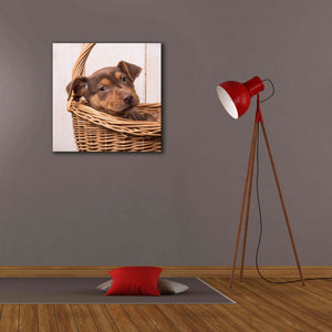 'Puppy in a Basket' by Edward M. Fielding, Giclee Canvas Wall Art,26x26