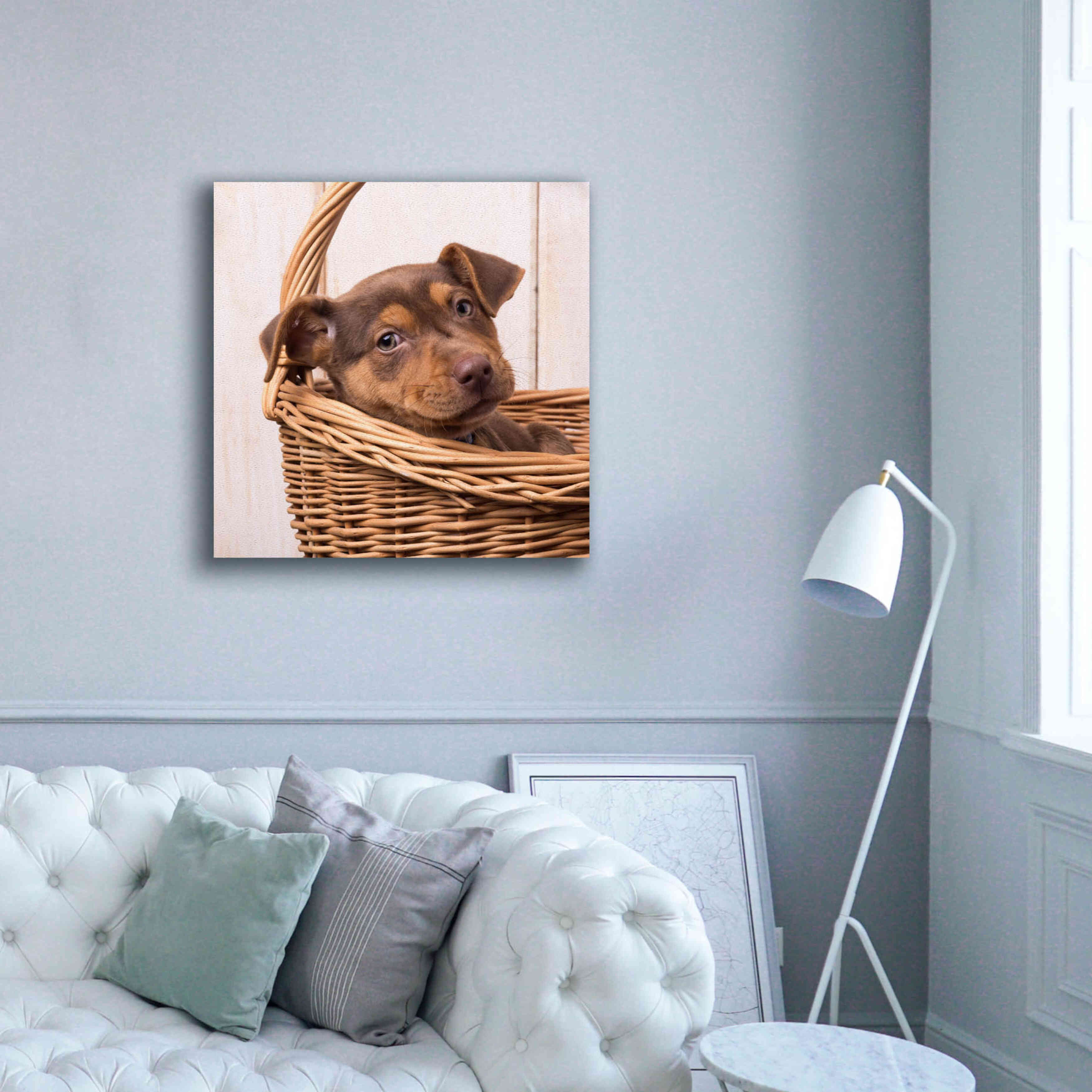 'Puppy in a Basket' by Edward M. Fielding, Giclee Canvas Wall Art,37x37