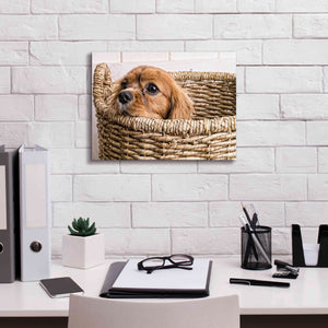 'Puppy in a Laundry Basket' by Edward M. Fielding, Giclee Canvas Wall Art,16x12