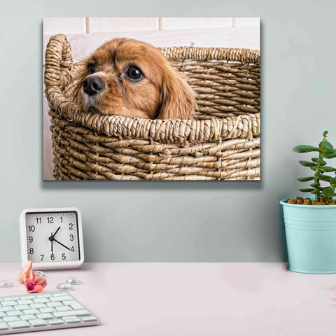 Image of 'Puppy in a Laundry Basket' by Edward M. Fielding, Giclee Canvas Wall Art,16x12