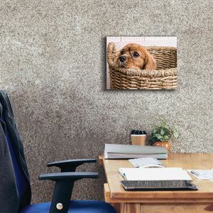 'Puppy in a Laundry Basket' by Edward M. Fielding, Giclee Canvas Wall Art,16x12