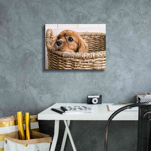 'Puppy in a Laundry Basket' by Edward M. Fielding, Giclee Canvas Wall Art,16x12