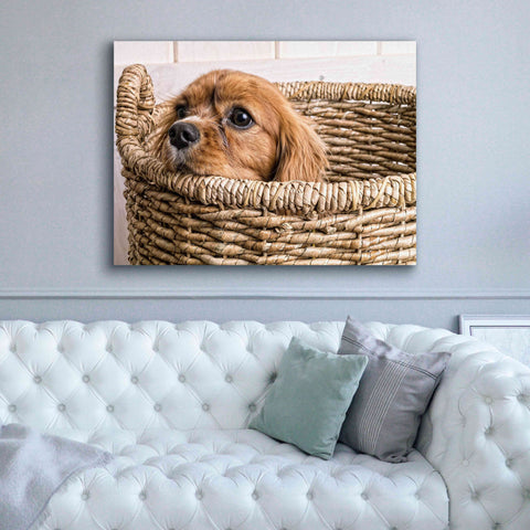 Image of 'Puppy in a Laundry Basket' by Edward M. Fielding, Giclee Canvas Wall Art,54x40