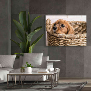 'Puppy in a Laundry Basket' by Edward M. Fielding, Giclee Canvas Wall Art,54x40