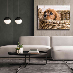 'Puppy in a Laundry Basket' by Edward M. Fielding, Giclee Canvas Wall Art,54x40