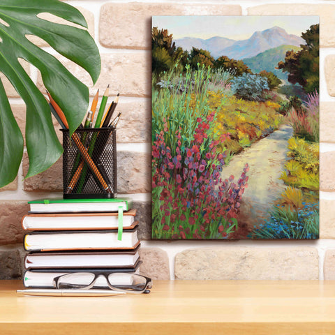 Image of 'Garden Path' by Ellie Freudenstein, Giclee Canvas Wall Art,12x16
