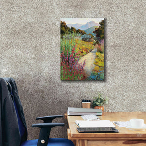 'Garden Path' by Ellie Freudenstein, Giclee Canvas Wall Art,18x26