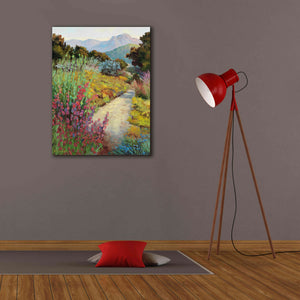 'Garden Path' by Ellie Freudenstein, Giclee Canvas Wall Art,26x34