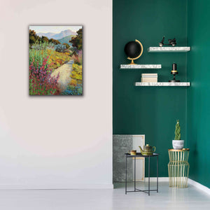 'Garden Path' by Ellie Freudenstein, Giclee Canvas Wall Art,26x34