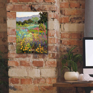 'Spring Days' by Ellie Freudenstein, Giclee Canvas Wall Art,12x16