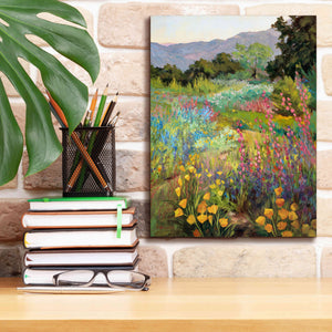 'Spring Days' by Ellie Freudenstein, Giclee Canvas Wall Art,12x16