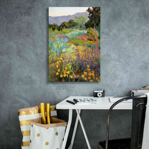 'Spring Days' by Ellie Freudenstein, Giclee Canvas Wall Art,18x26
