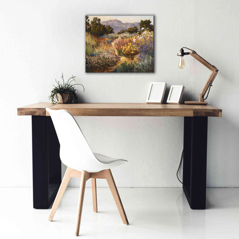 Image of 'Spring Trails' by Ellie Freudenstein, Giclee Canvas Wall Art,24x20