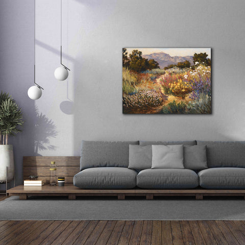 Image of 'Spring Trails' by Ellie Freudenstein, Giclee Canvas Wall Art,54x40