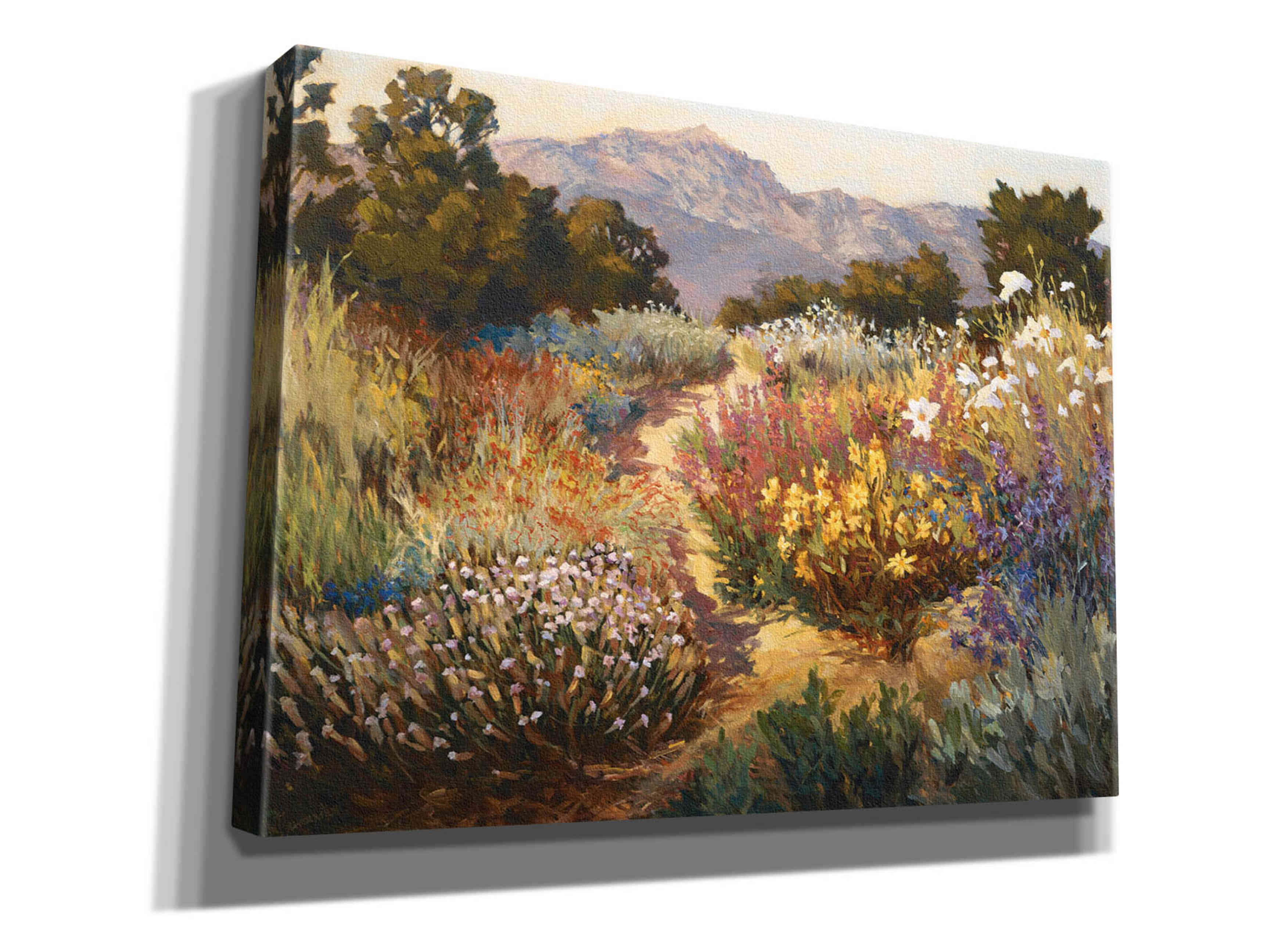 'Spring Trails' by Ellie Freudenstein, Giclee Canvas Wall Art