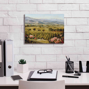 'Vineyards to Vaca Mountains' by Ellie Freudenstein, Giclee Canvas Wall Art,16x12