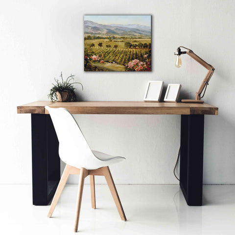 Image of 'Vineyards to Vaca Mountains' by Ellie Freudenstein, Giclee Canvas Wall Art,24x20