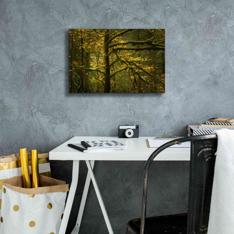 Image of 'Golden Drops' by Enrico Fossati, Giclee Canvas Wall Art,18x12