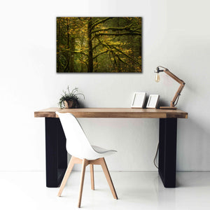 'Golden Drops' by Enrico Fossati, Giclee Canvas Wall Art,40x26