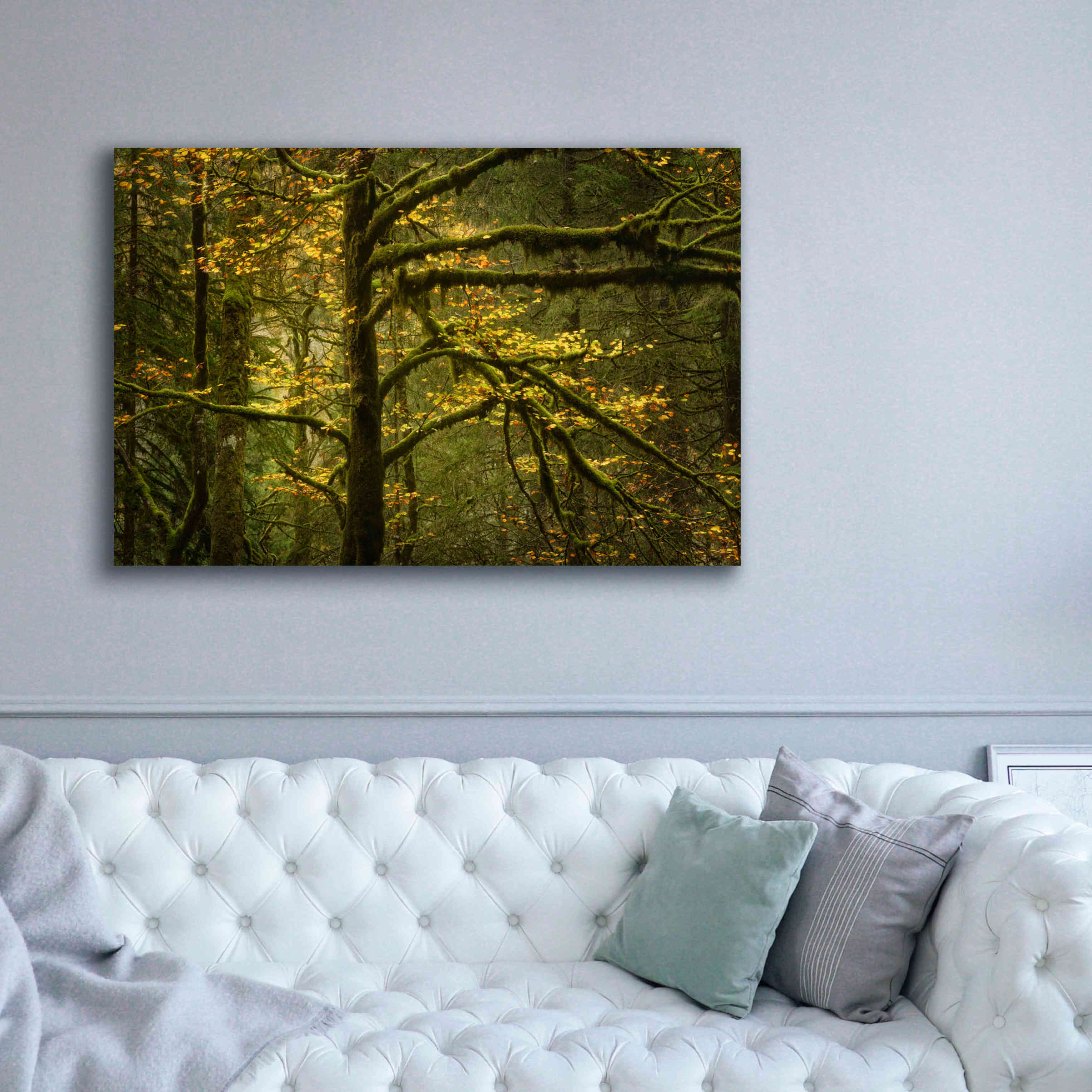 'Golden Drops' by Enrico Fossati, Giclee Canvas Wall Art,60x40