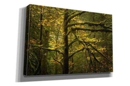 'Golden Drops' by Enrico Fossati, Giclee Canvas Wall Art