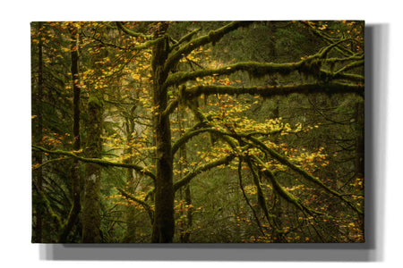 'Golden Drops' by Enrico Fossati, Giclee Canvas Wall Art