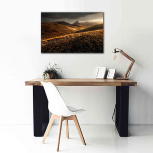 'Last Autumn Light' by Enrico Fossati, Giclee Canvas Wall Art,40x26