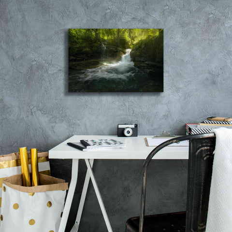 Image of 'Stream of Life' by Enrico Fossati, Giclee Canvas Wall Art,18x12