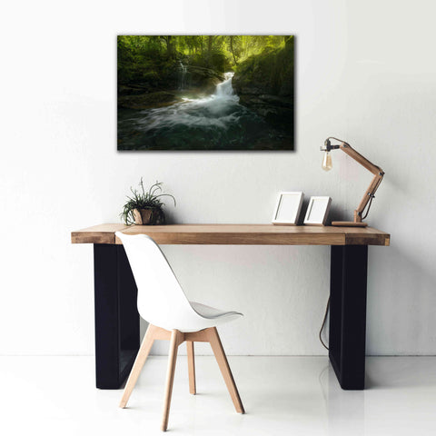 Image of 'Stream of Life' by Enrico Fossati, Giclee Canvas Wall Art,40x26