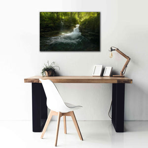 'Stream of Life' by Enrico Fossati, Giclee Canvas Wall Art,40x26
