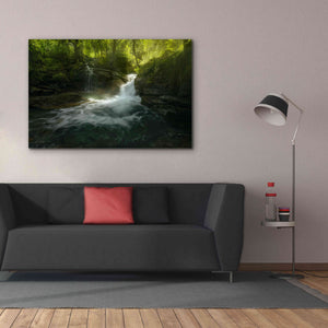 'Stream of Life' by Enrico Fossati, Giclee Canvas Wall Art,60x40