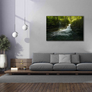 'Stream of Life' by Enrico Fossati, Giclee Canvas Wall Art,60x40