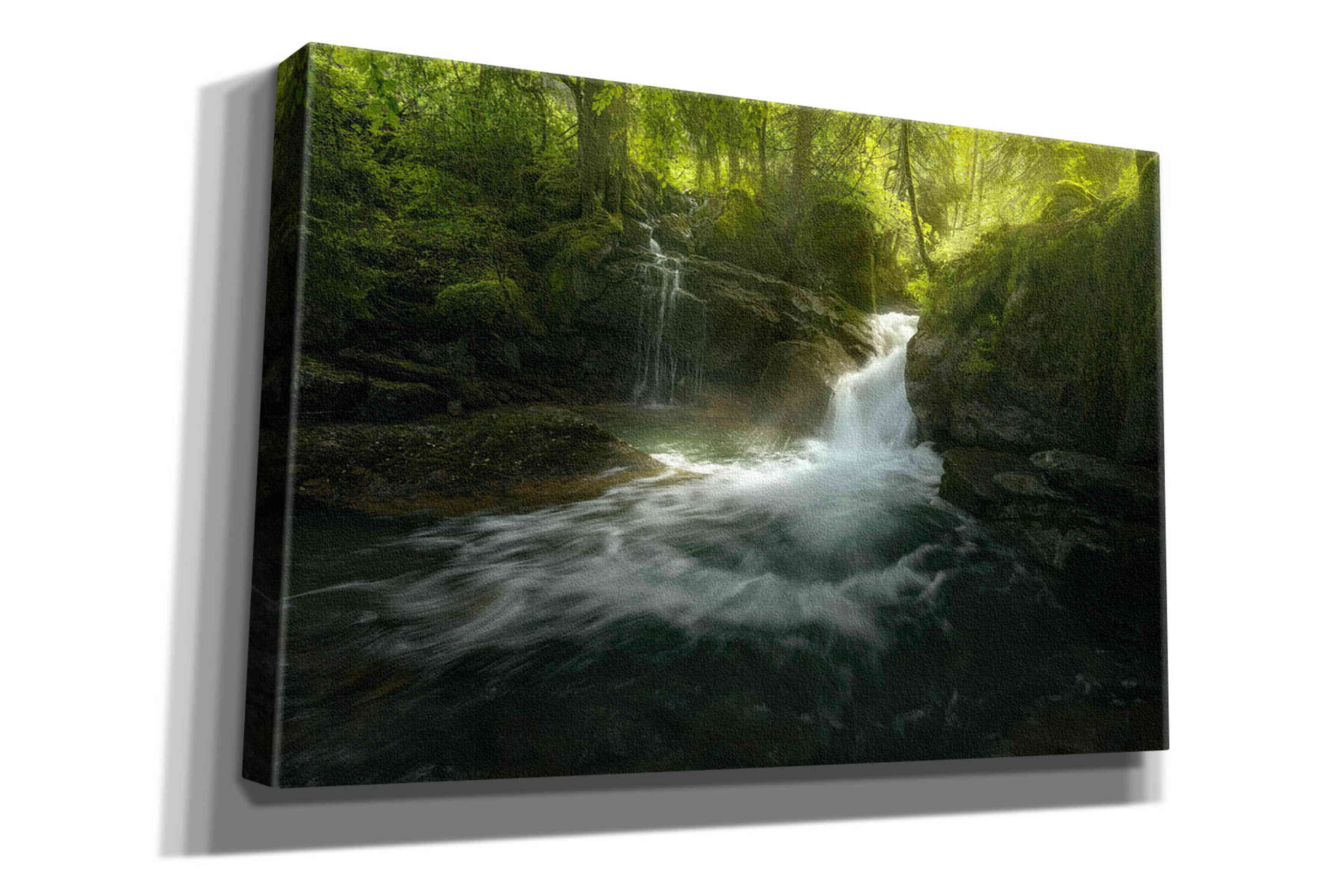 'Stream of Life' by Enrico Fossati, Giclee Canvas Wall Art