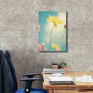 'Summer Breeze' by Kim Fearheiley, Giclee Canvas Wall Art,18x26
